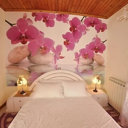 Tango Villa Paleokastritsa