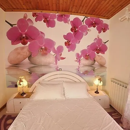 Tango Paleokastritsa