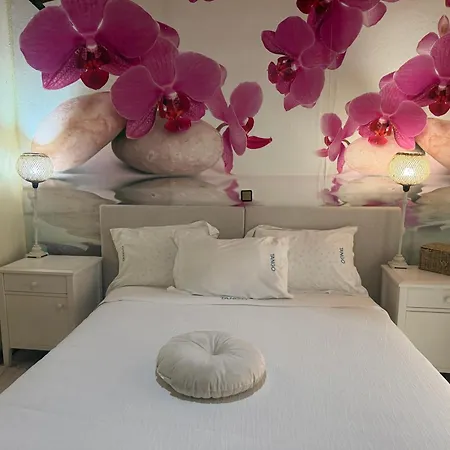 Tango Paleokasztríca